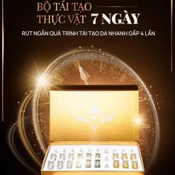 Bộ tái tạo thực vật 7 ngày iris